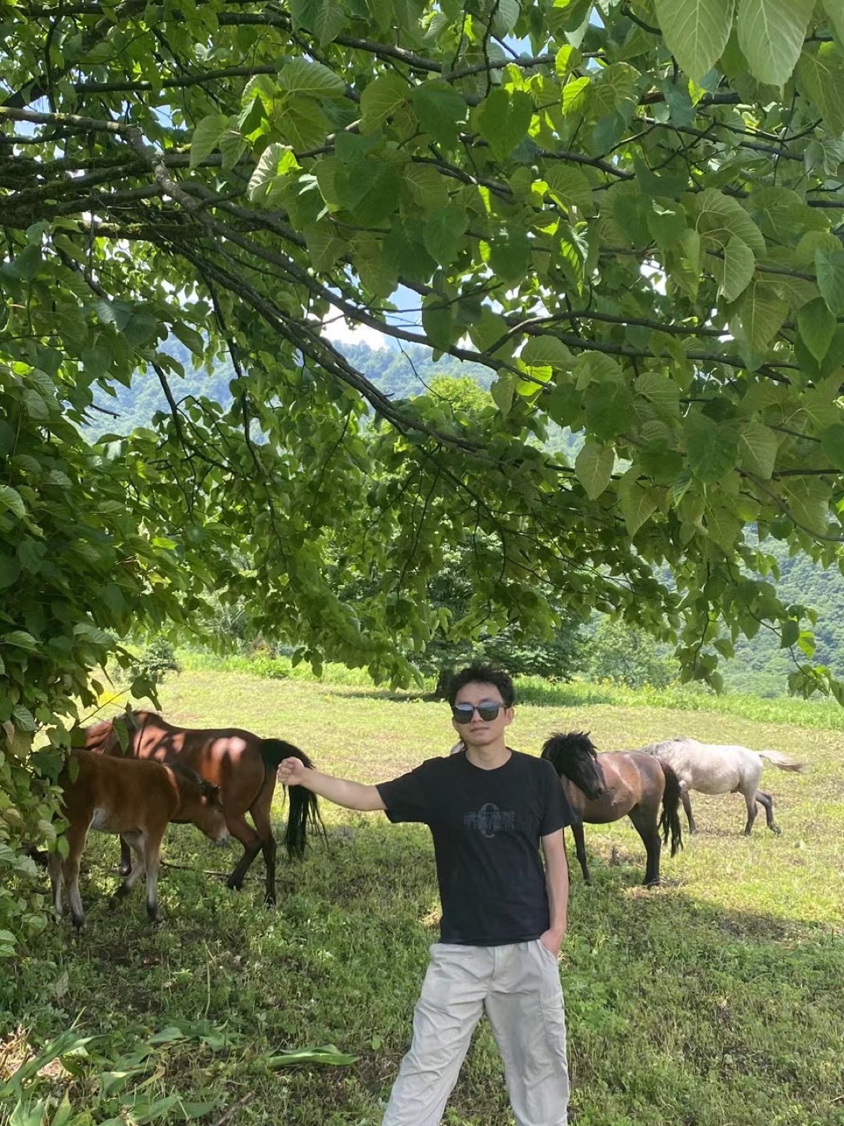 Yunjie standing under a tree next to wild horses on the western Sichuan grasslands